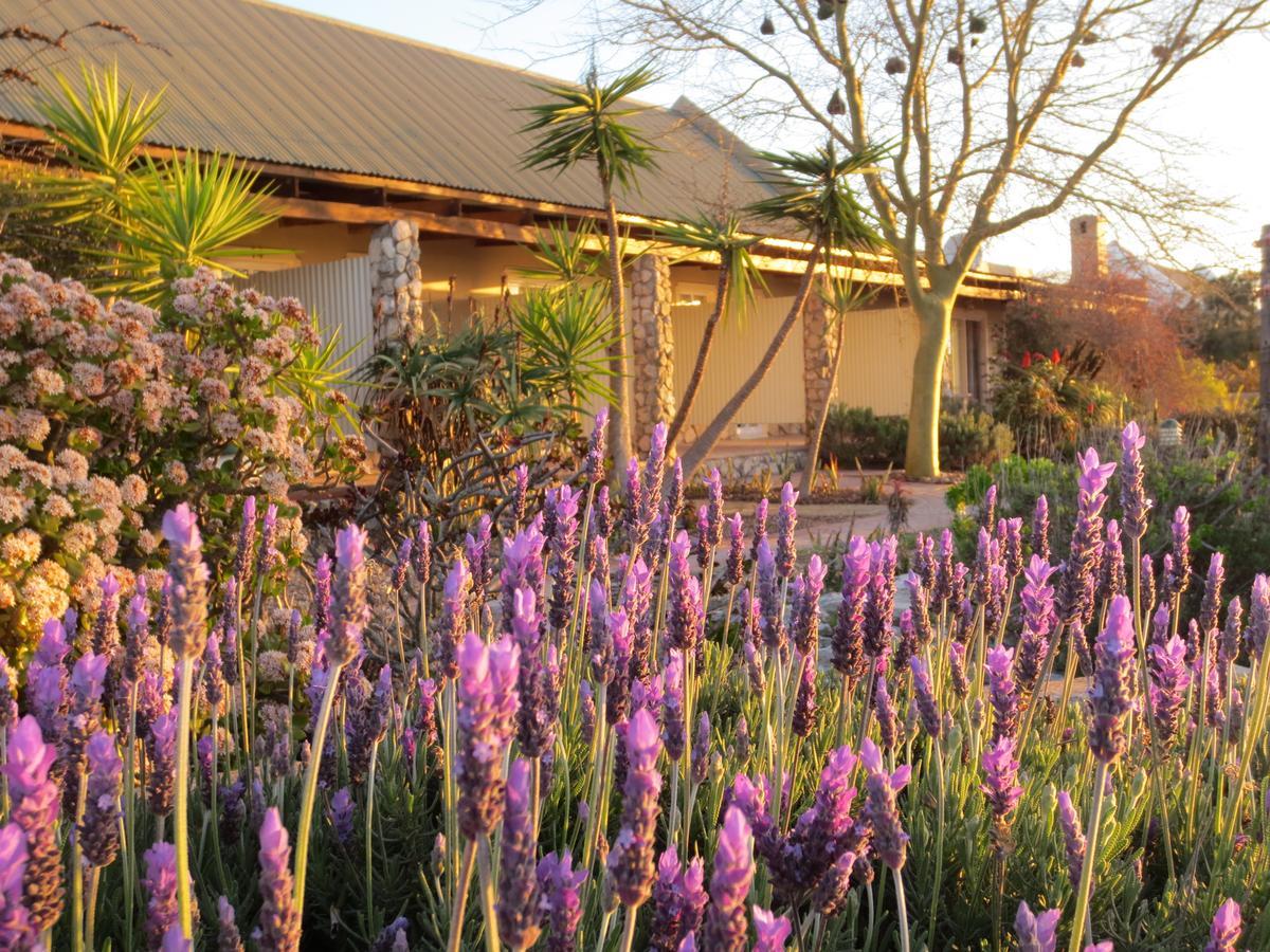 Masada Guest House Langebaan Buitenkant foto